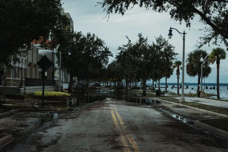 Local water damage restoration team in annapolis