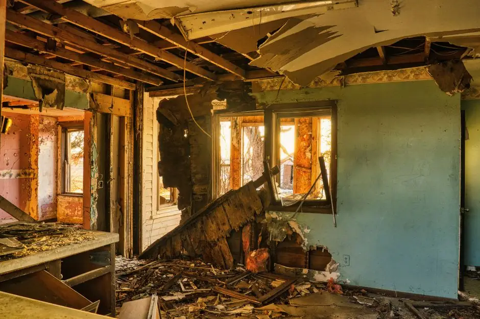 Eliminating Mold Growth